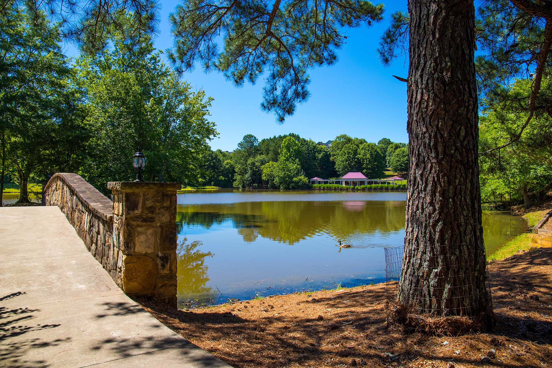 Alpharetta
